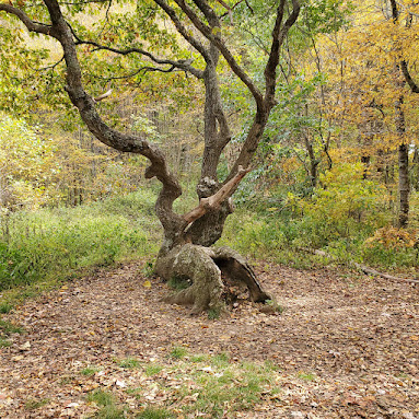 Appalachian Trail