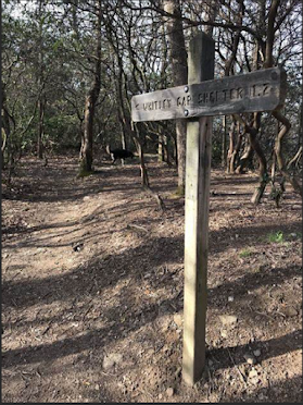 Appalachian Trail