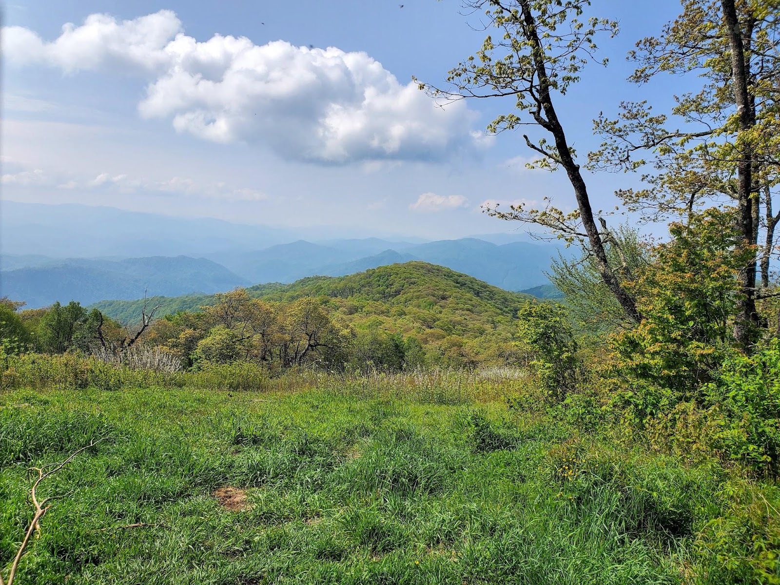 Appalachian Trail