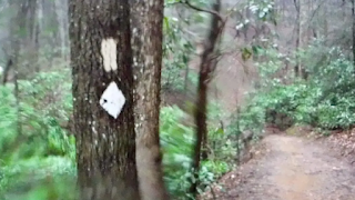 Appalachian Trail - Springer Mountain
