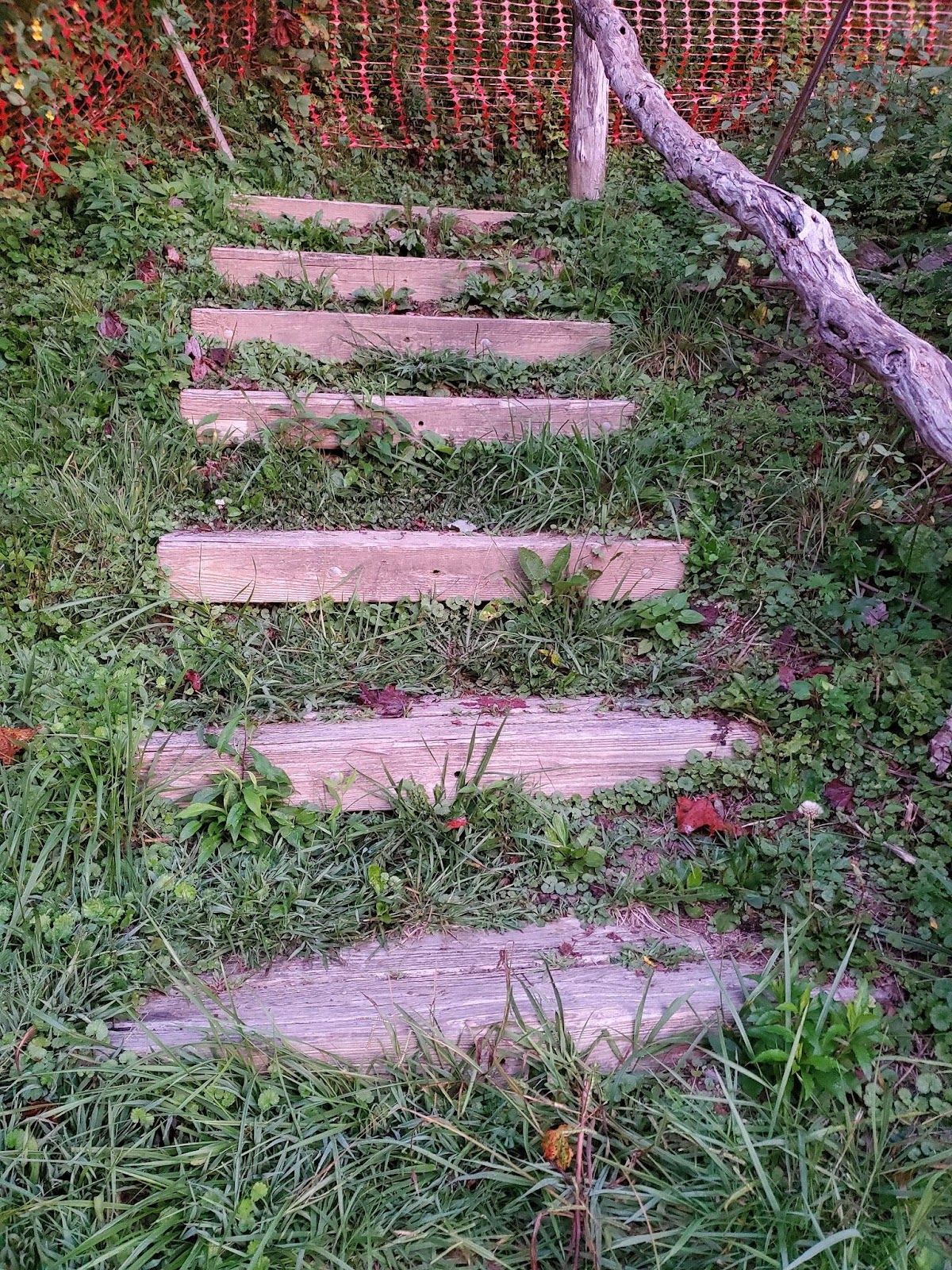 Appalachian Trail
