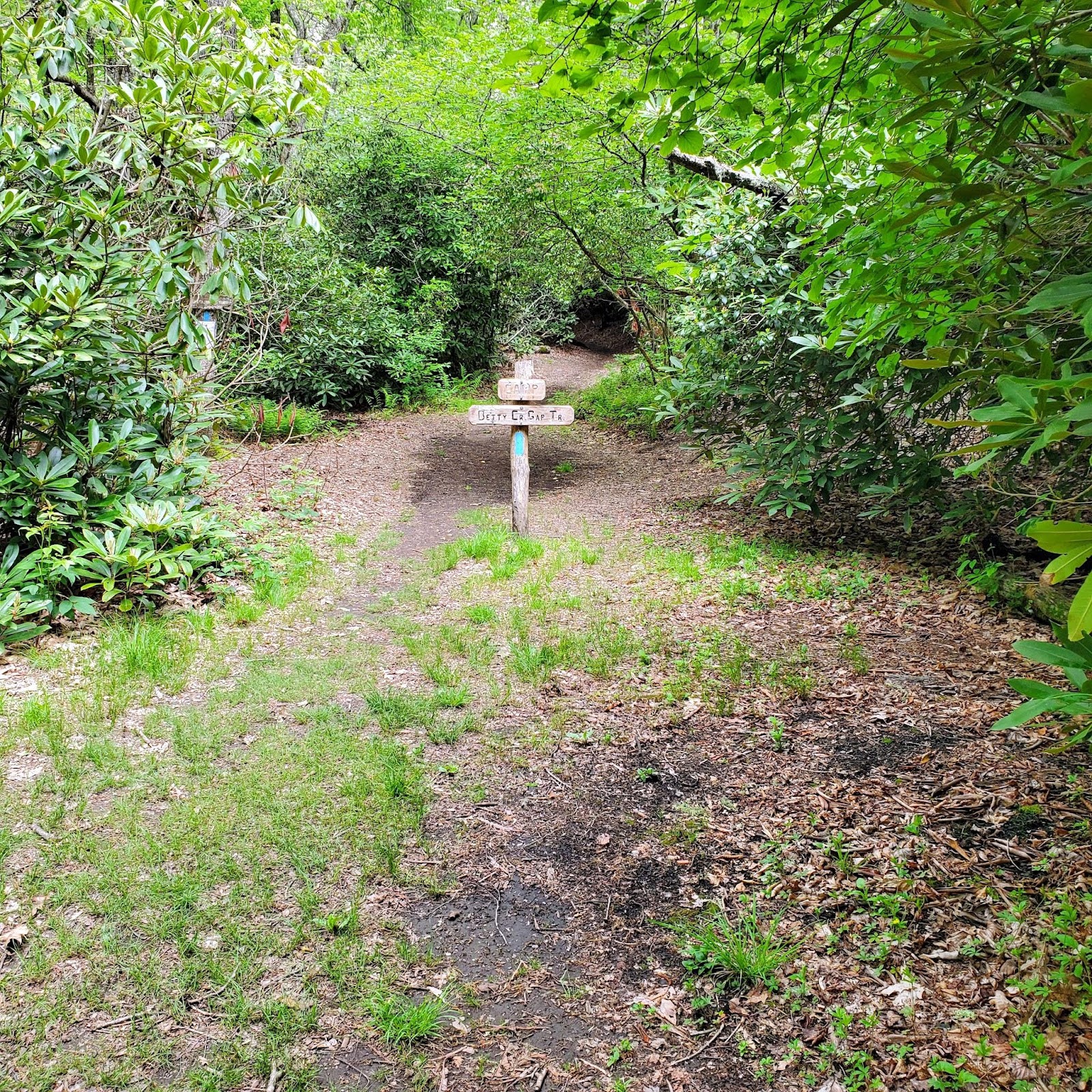 Appalachian Trail