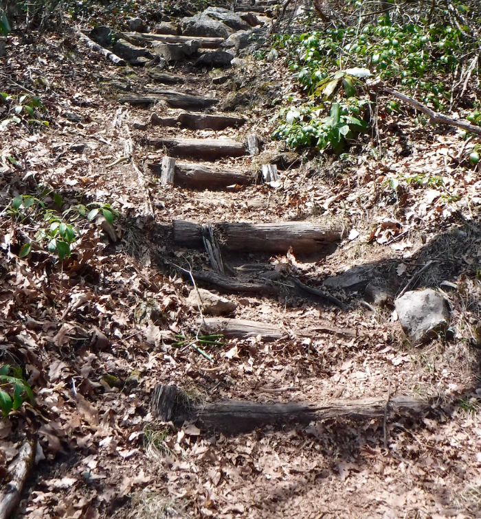 Appalachian Trail