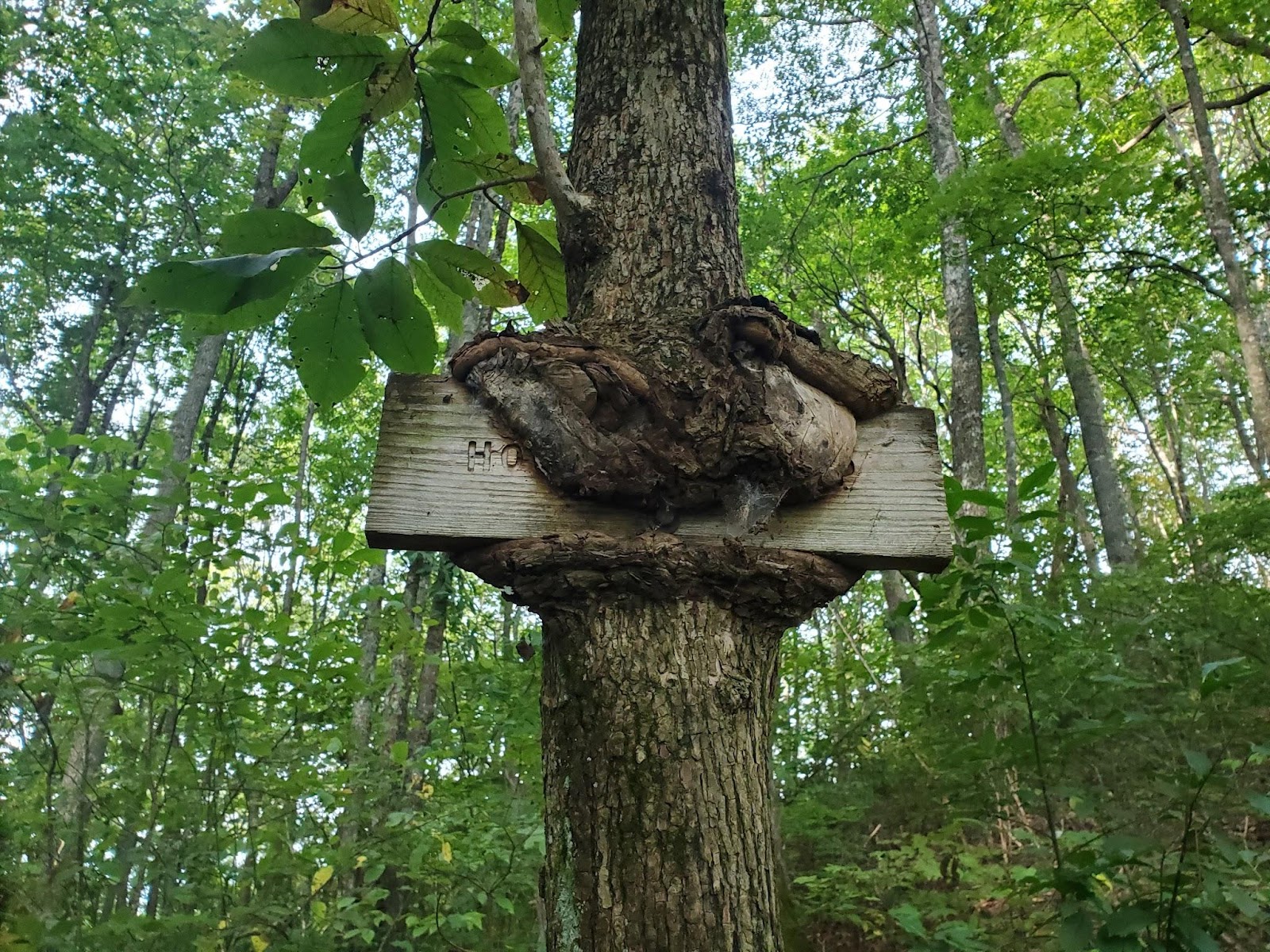 Appalachian Trail
